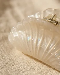 Scallop Shell Claw, close up